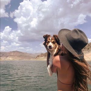 Meet your Posher, Sammy